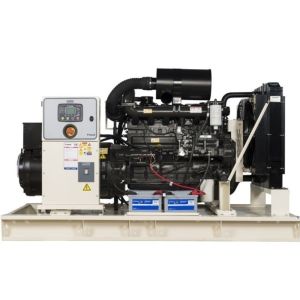 Дизельный генератор HERTZ HG 335 DC  синхронный фото