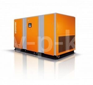 Винтовой компрессор Ekomak ECO 111CD VST 8.5 фото