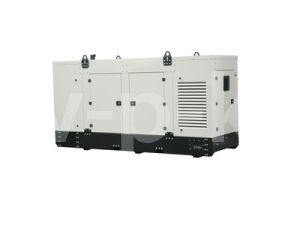 Дизельный генератор FOGO FV 300 AG  Дизельный генератор FOGO FV 300 AG  фото