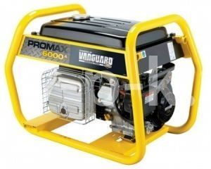 Бензиновый генератор Briggs & Stratton ProMax 6000 EA  для дачи Бензиновый генератор Briggs & Stratton ProMax 6000 EA  для дачи фото