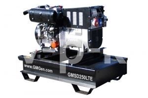 Бензиновый генератор GMGen GMSD250LTE  для газового котла Бензиновый генератор GMGen GMSD250LTE  для газового котла фото