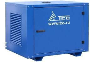 Бензиновый генератор ТСС SGG 5000EHNA в кожухе МК-1.1 110104 Бензиновый генератор ТСС SGG 5000EHNA в кожухе МК-1.1 110104 фото