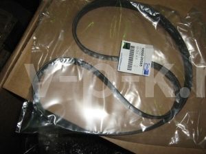 Ремень вентилятора 10000-05585 фото