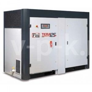 Винтовой компрессор Fini TERA SD 12510 STC Винтовой компрессор Fini TERA SD 12510 STC фото