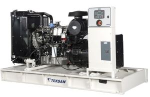 Дизельный генератор TEKSAN TJ220PE5L  фото