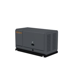 Газовый генератор  GM 7000 Газовый генератор  GM 7000