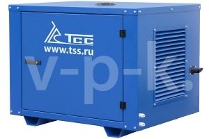 Бензиновый генератор ТСС SGG 6000EHNA в погодозащитном кожухе  Бензиновый генератор ТСС SGG 6000EHNA в погодозащитном кожухе  фото