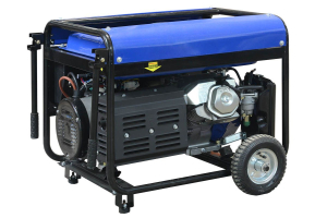 Бензиновый генератор ТСС PRO GGW 3.0/250E-R 022832 для дачи фото