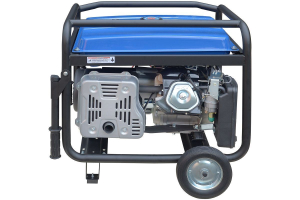 Бензиновый генератор ТСС SGG 8000EHNA в кожухе МК-1.1 034039 для дачи фото