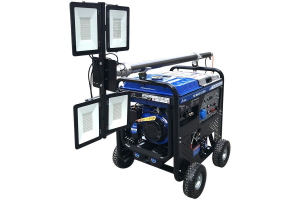 Бензиновый генератор ТСС WALGG 5.0/200E 027655 фото