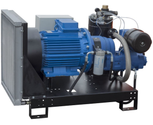 Винтовой компрессор Арсенал ЗИФ-СВЭ-16,0/0,7 без кожуха фото